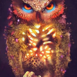 Owl's Magic Paint by Diamonds