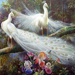 Pair of White Peacocks Diamond Painting