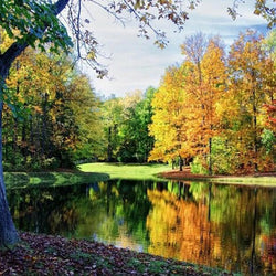 Peaceful View Paint by Diamonds