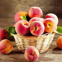 Peach Basket Paint by Diamonds