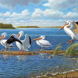 Pelicans DIY Diamond Painting Kit