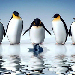 Penguins DIY Diamond Painting
