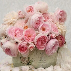 Peony Diamond Painting Kit