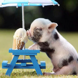 Pig DIY Diamond Painting Kit
