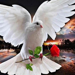 Pigeon Diamond Painting Kit