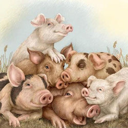 Pigs Family Paint by Diamonds