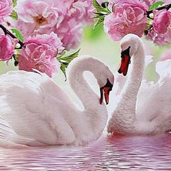 Swans Diamond Printing
