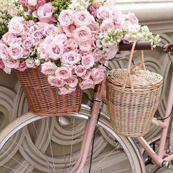 Pink Rose Basket & Bicycle Diamond Painting