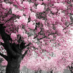 Tree DIY Diamond Painting