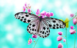 Pretty Butterfly Paint by Diamonds