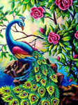Pretty Peacock & Roses Paint by Diamonds