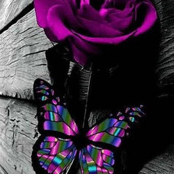 Purple Rose & Butterfly Diamond Painting