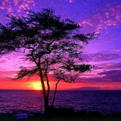 Sunset Landscape Paint by Diamonds