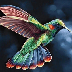 Humming Bird DIY Painting Kit