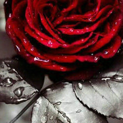 Rose DIY Diamond Painting
