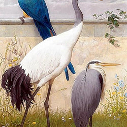 Sand Hill crane & Parrot Paint by Diamonds