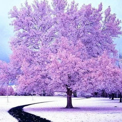 Tree DIY Diamond Painting Kit