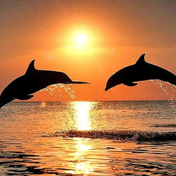 Sea Dolphins & Sunset View Diamond Painting Kit