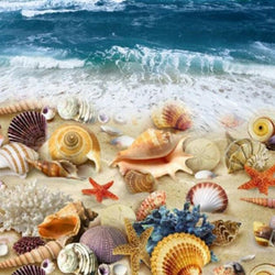 Sea Shells Diamond Painting