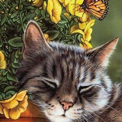 Sleeping Cat - Diamond Painting Kit