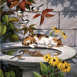 Sleeping Cat & Birds Diamond Painting