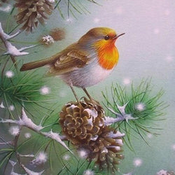 Sweet Sparrow Paint by Diamonds