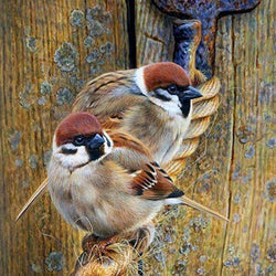 Sparrows Square Drill painting