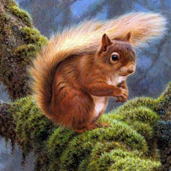 Squirrel Diamond Painting Kit