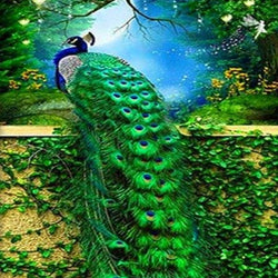 Peacock Paint by Diamonds