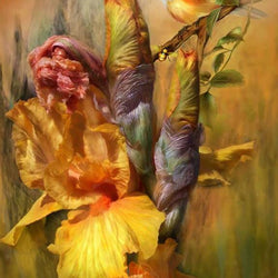 Summer Wonders by Carol Cavalaris Diamond Painting