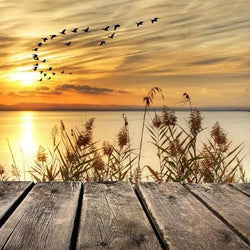 Sunset Lake Paint by Diamonds