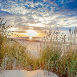 Sunset Landscape Painting Kit