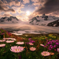 Sunset in Alaska Paint by Diamonds