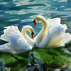 Swan Couple Diamond Painting