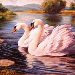Swans DIY Diamond Painting