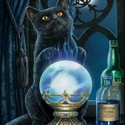 The Wizard Cat Diamond Painting Kit
