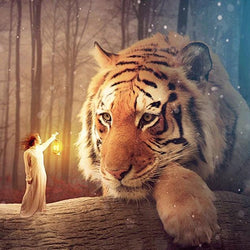 Best 5D Diamond Painting