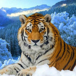 Tiger Full Drill Painting Kit