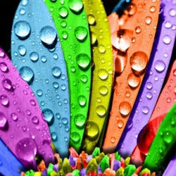 Colorful Petals Paint by Diamonds