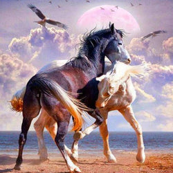 White & Black Horse Pair Diamond Painting