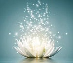 Lotus Diamond Painting