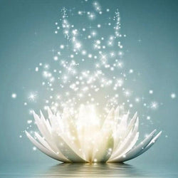 Lotus Diamond Painting