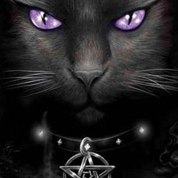Wicked Cat Diamond Painting Kit