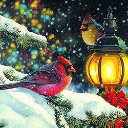 Winter Diamond Painting