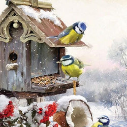 Winter birds & Their Little House Diamond Painting