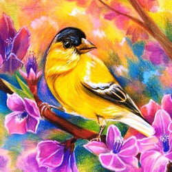 Birds Full Drill Painting Kit