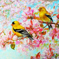 Yellow Birds & Pink Blossoms Diamond Painting