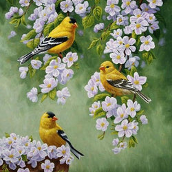 Yellow Birds & White Flowers Diamond Painting