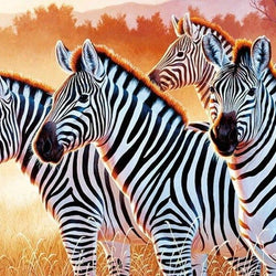 Zebras Diamond Painting