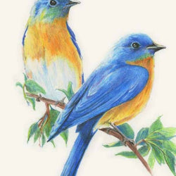 Birds couple Diamond Painting